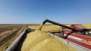 Уборке -2025 дан старт