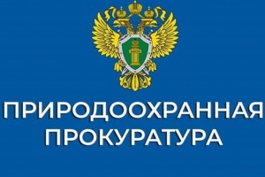 По иску прокурора разработана природоохранная документация