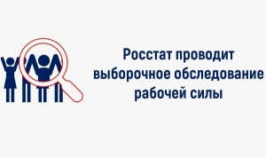 О проведении в 2026 году выборочного обследования, направленного на изучение состояния рабочей силы.