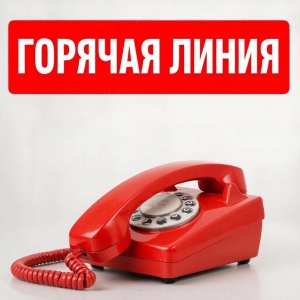 «Горячая линия» по вопросам детского отдыха: Роспотребнадзор Восточного Крыма готов ответить на ваши вопросы
