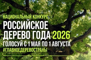Дуб‑богатырь Тавриды борется за звание «Российского дерева года»