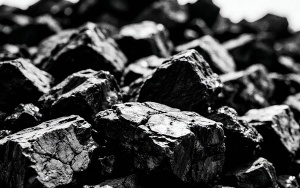 Социальный уголь для жителей Ленинского района: где купить и как заказать доставку