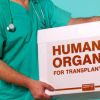 Ситуация с пересадкой органов в Украине могла бы революционно измениться