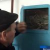 Крымэнерго призывает население сообщать о кражах электрооборудования