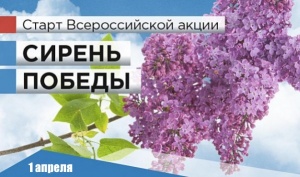Акция «Сирень Победы» в пгт Ленино
