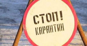 В Ленинском районе ввели карантинный режим из-за опасного сорняка