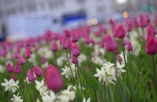 Завтра будет сухо и жарко