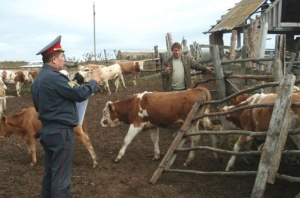 Внимание владельцам подсобных хозяйств