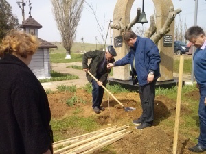 Александр Мачусский принял участие в посадке берёзовой рощи в селе Глазовка
