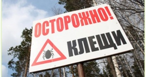 В Семисотском СДК прошла видео лекция "Бережёного Бог бережёт"