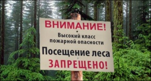 Крымские леса закрыли для посещения