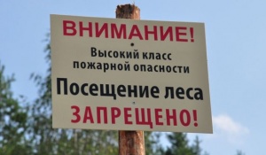 Крымские леса закрыли для посещения до сентября