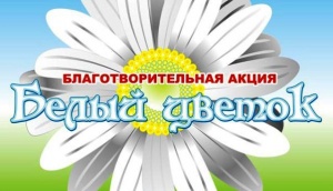Ленинский район примет участие в благотворительной акции «Белый цветок»