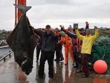 Пойманный немцем палтус оказался тяжелее гориллы