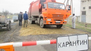 В Ленинском районе сняли карантин по африканской чуме свиней