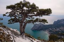 В Крыму обещают снег и заморозки