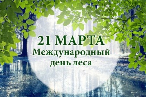 21 марта Международным днем лесов
