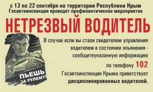 ГИБДД ПРОВЕДЕТ МАСШТАБНУЮ ПРОВЕРКУ СОБЛЮДЕНИЯ ПДД
