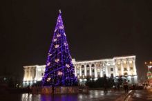 Какими будут новогодние елки в Крыму