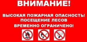 Внимание!!! Ограничено пребывание граждан в лесах