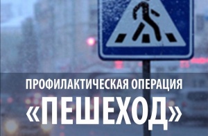 ​На территории Республики Крым сотрудники Госавтоинспекции проведут месячник безопасности дорожного движения
