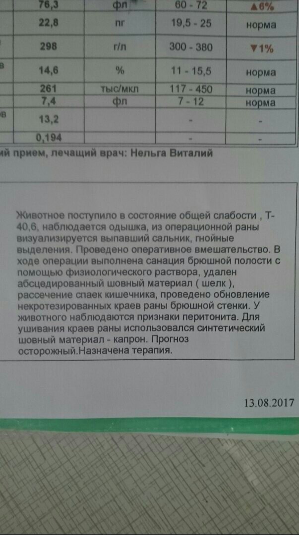 Перитонит и расхождения спаек кишечника.