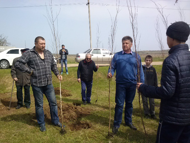Александр Мачусский принял участие в посадке берёзовой рощи в селе Глазовка