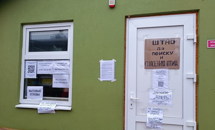 Какой ущерб экологии причинил разлив мазута в Черном море