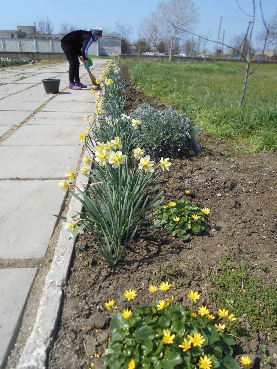 На территории Ленинского района прошел Всекрымский экологический субботник, ставший уже ежегодной традицией