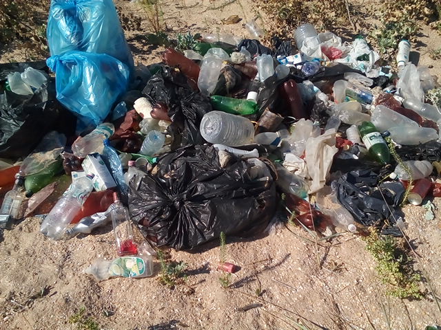 Администрация Ленинского района приняла участие в субботнике в рамках акции «Сделаем Крым чистым